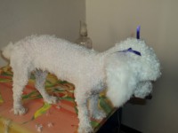 /album/fotos/de-todo-039-jpg/